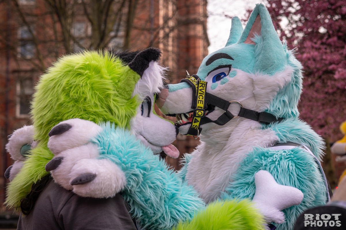 2026-02-14 MancFurs-202602-057.jpg