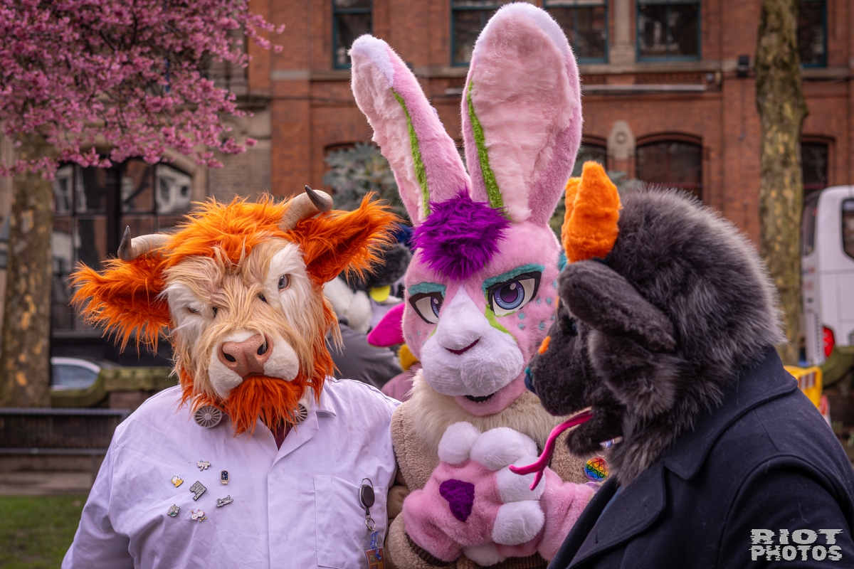 2026-02-14 MancFurs-202602-058.jpg