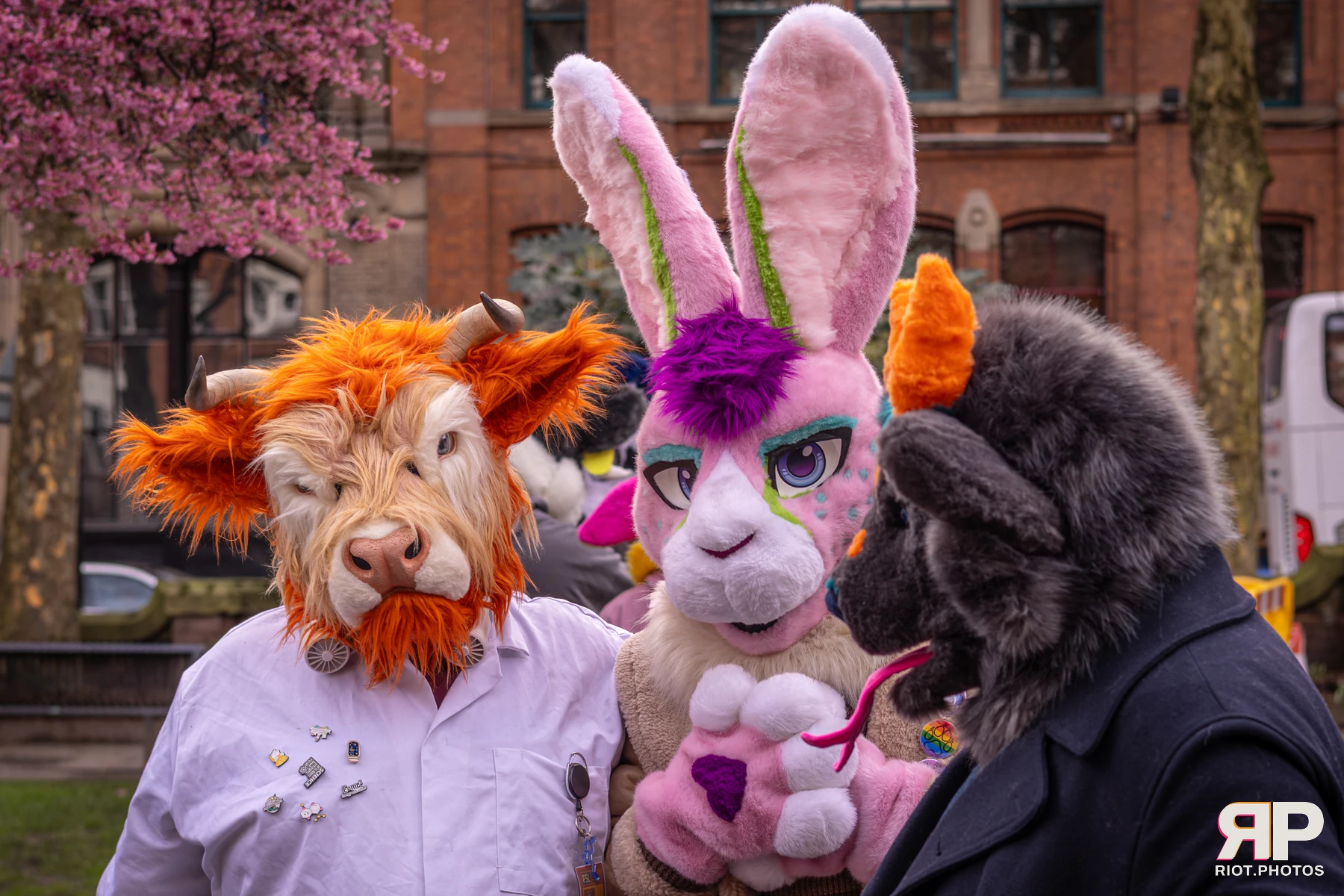 MancFurs - February, 2026 — 14 Feb 2026, Fluffy Riot photography — photo 58