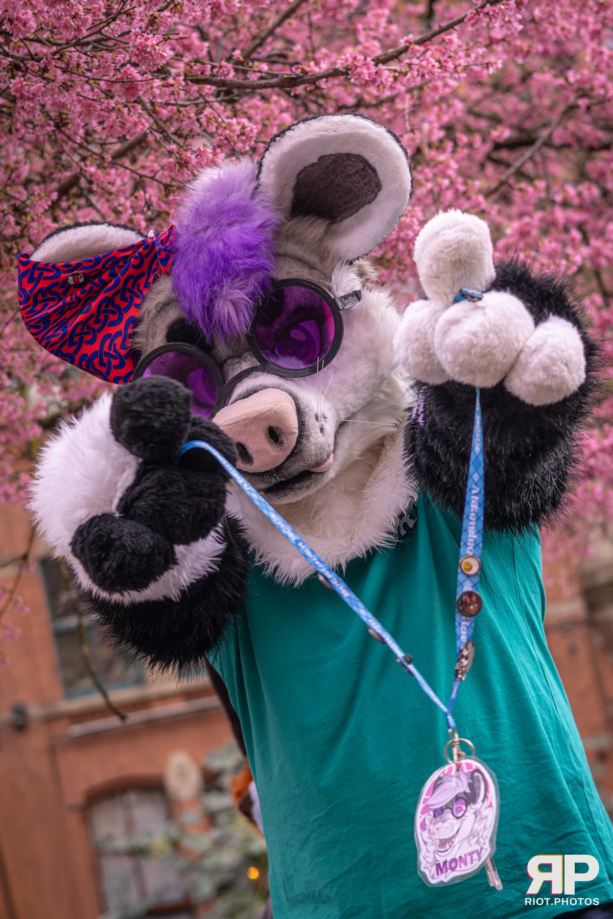 MancFurs - February, 2026 — 14 Feb 2026, Fluffy Riot photography — photo 59