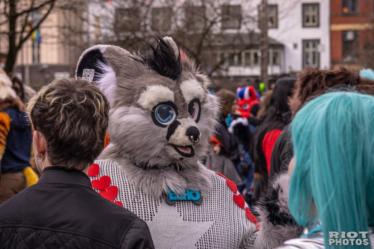 2026-02-14 MancFurs-202602-060.jpg