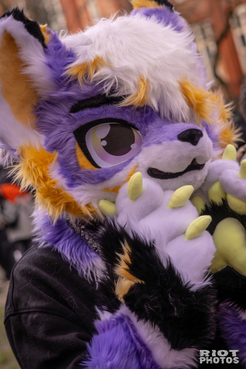 2026-02-14 MancFurs-202602-061.jpg