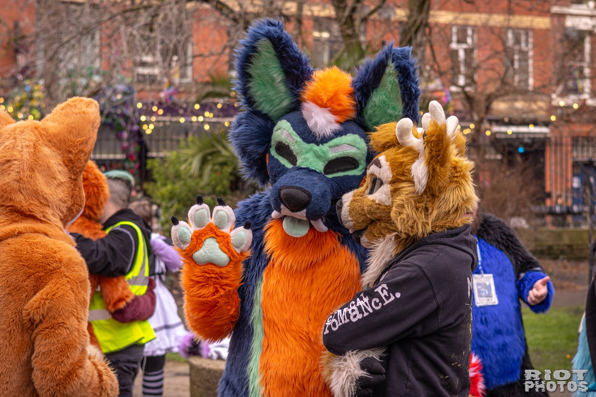 2026-02-14 MancFurs-202602-064.jpg
