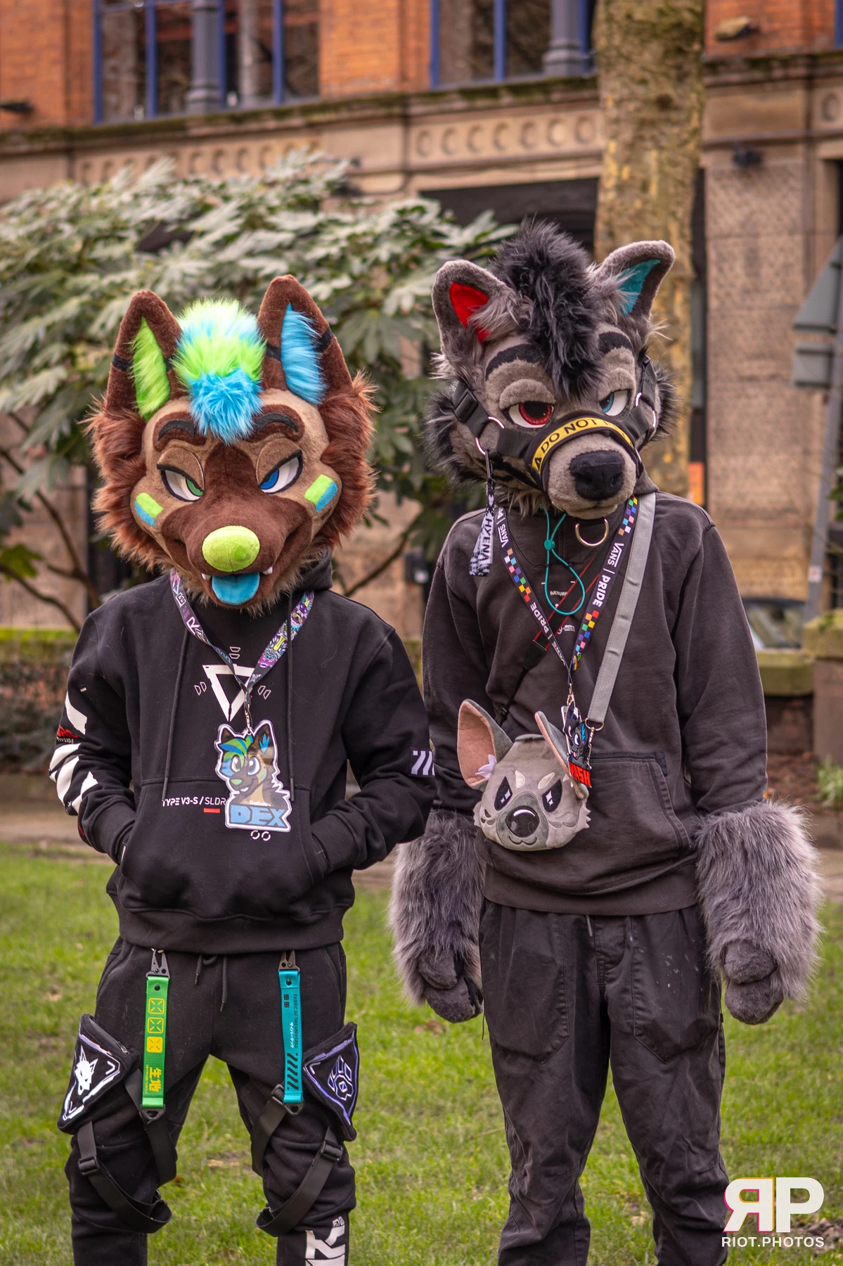 MancFurs - February, 2026 — 14 Feb 2026, Fluffy Riot photography — photo 65