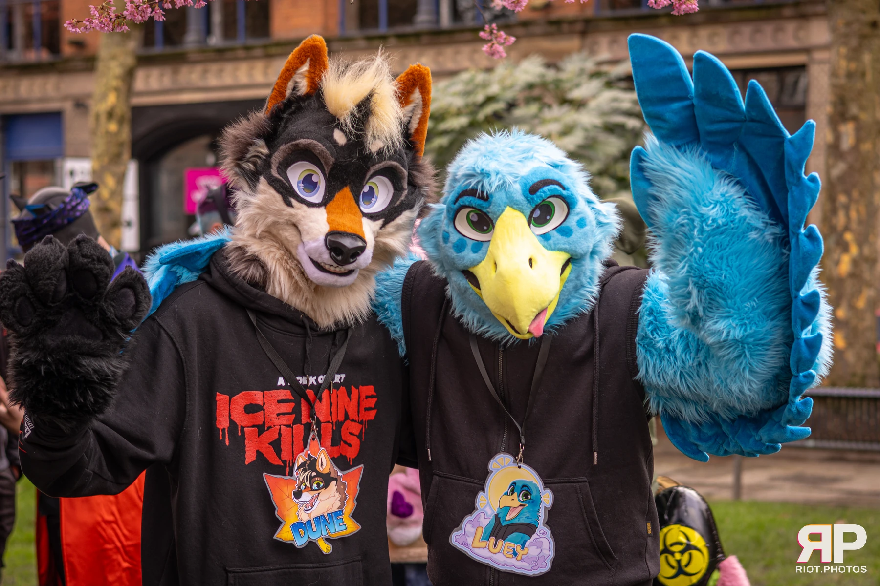 MancFurs - February, 2026 — 14 Feb 2026, Fluffy Riot photography — photo 66