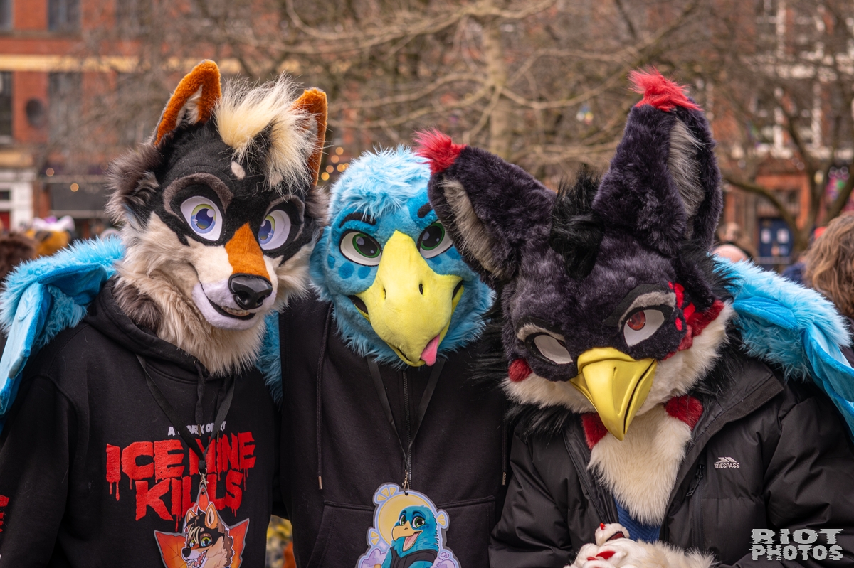 2026-02-14 MancFurs-202602-067.jpg