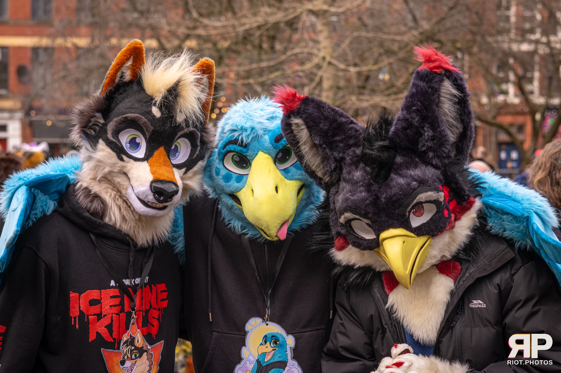 MancFurs - February, 2026 — 14 Feb 2026, Fluffy Riot photography — photo 67