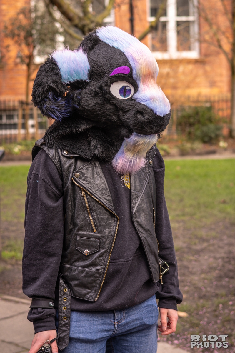 2026-02-14 MancFurs-202602-068.jpg