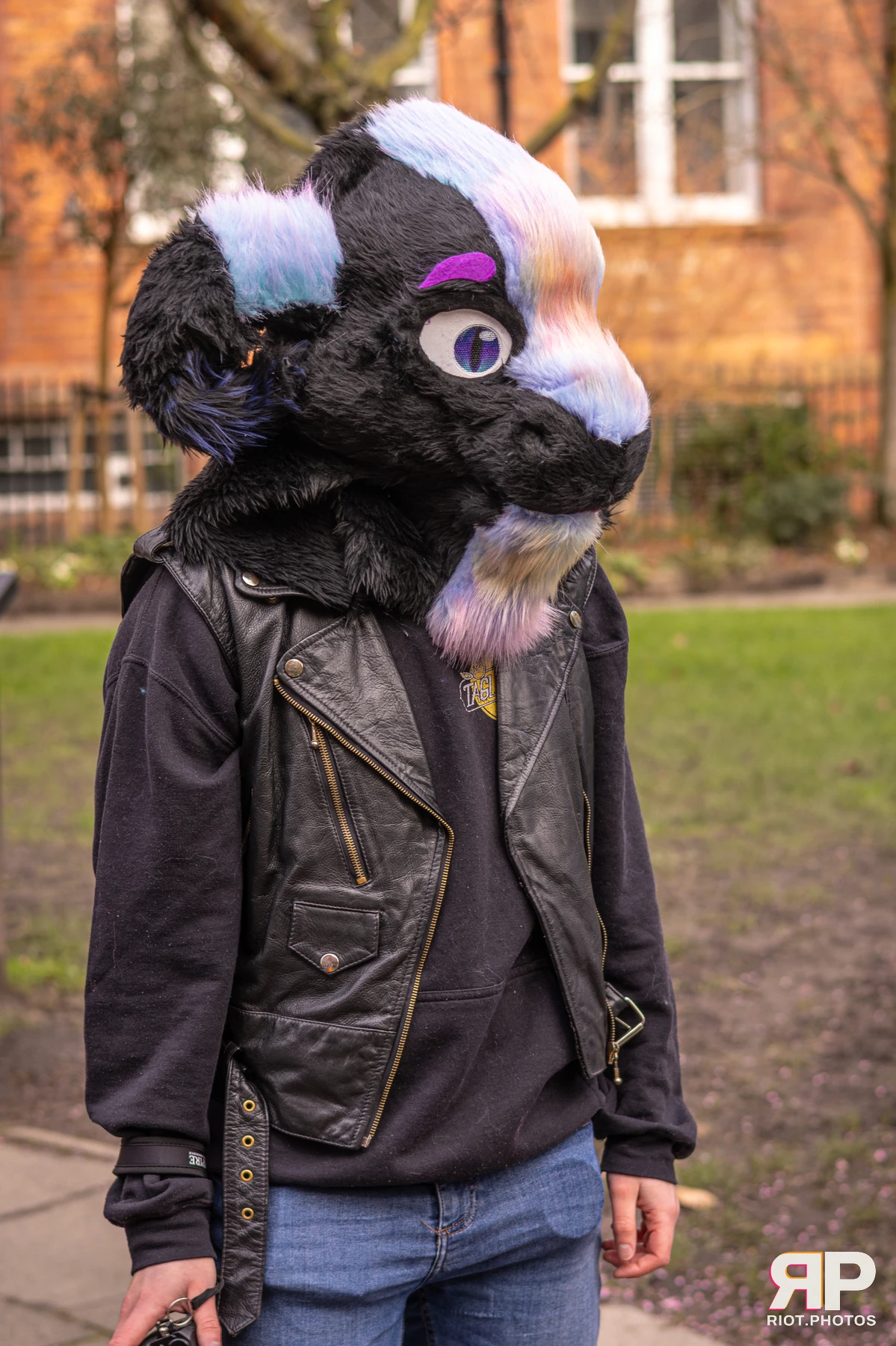 Pup Bismuth — furry & pup photography by Fluffy Riot — photo 11