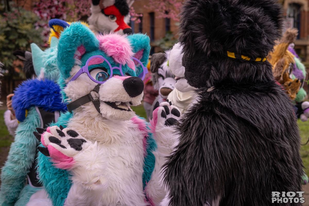 2026-02-14 MancFurs-202602-070.jpg