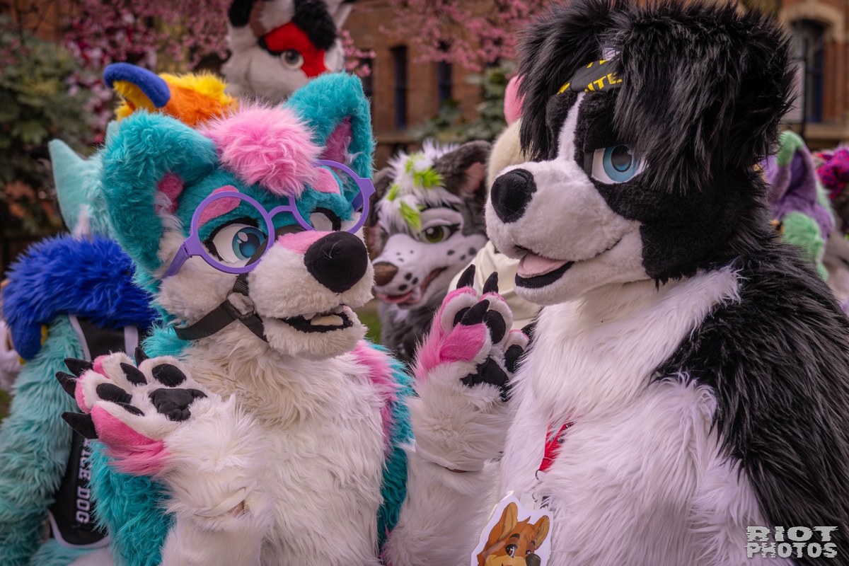 2026-02-14 MancFurs-202602-071.jpg