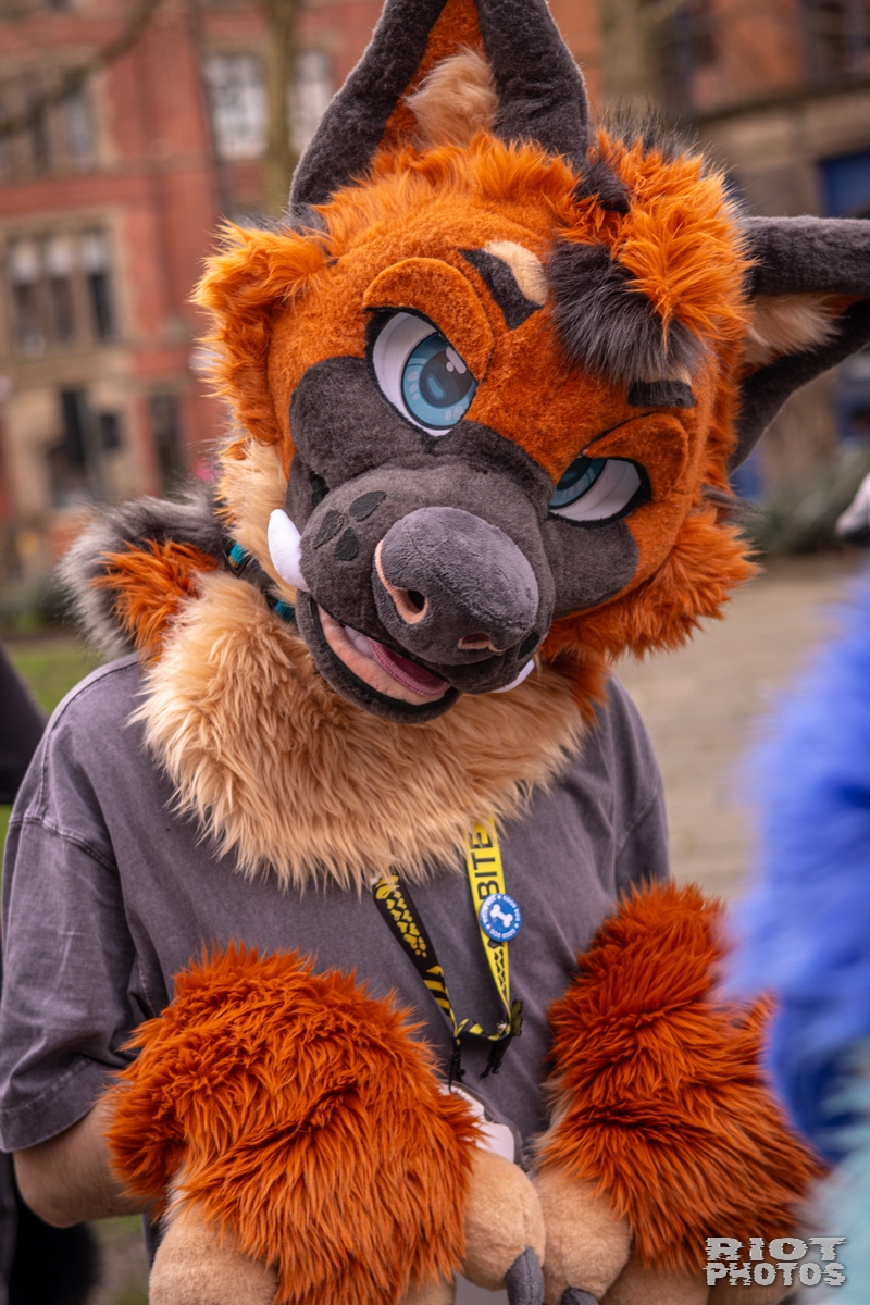 2026-02-14 MancFurs-202602-073.jpg