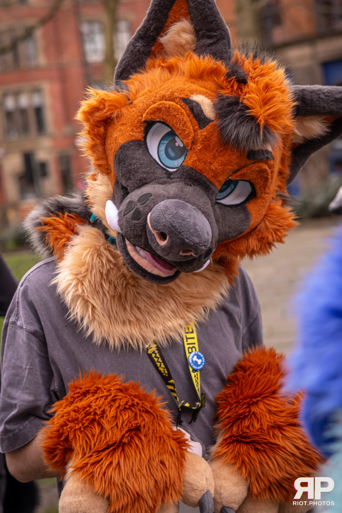 MancFurs - February, 2026 — 14 Feb 2026, Fluffy Riot photography — photo 73