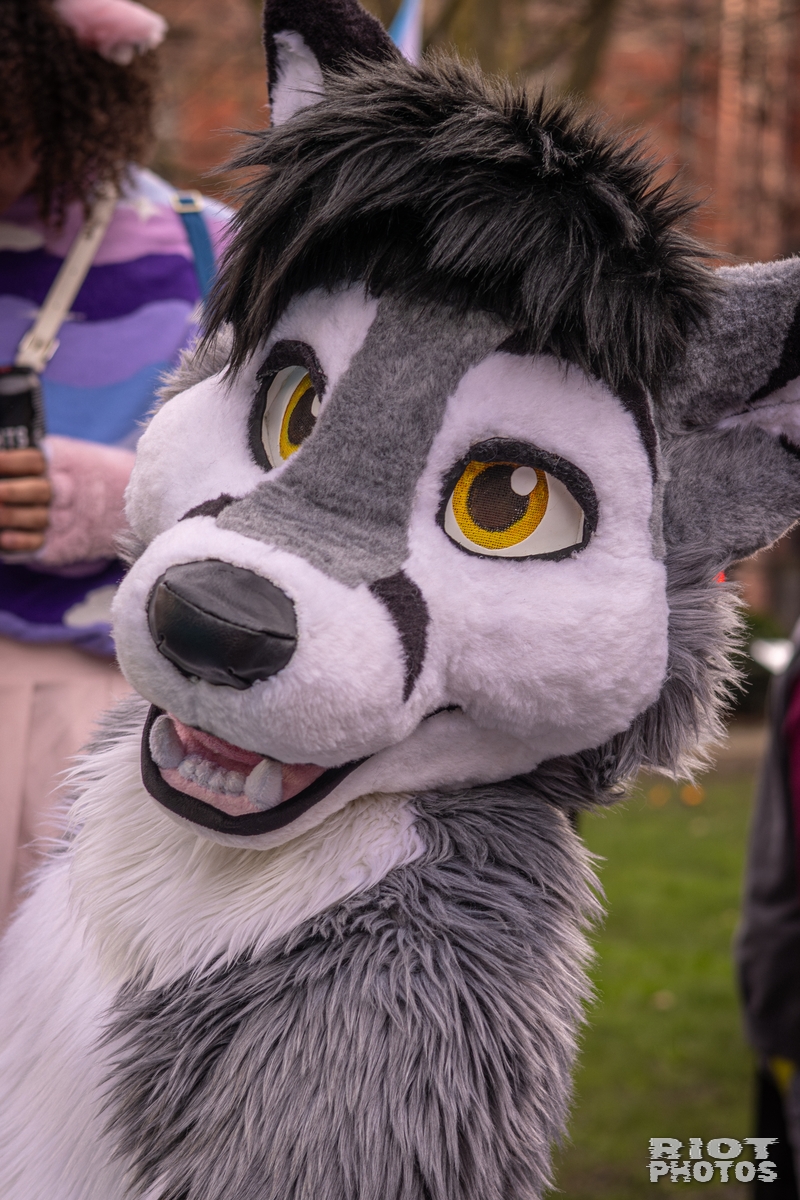 2026-02-14 MancFurs-202602-074.jpg