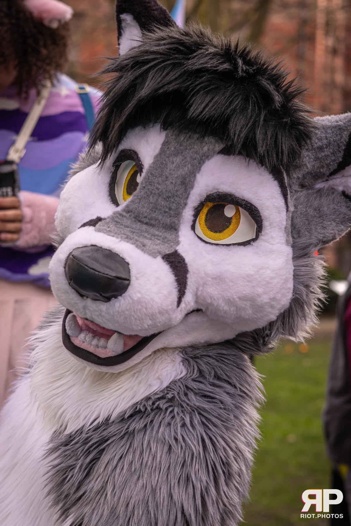 MancFurs - February, 2026 — 14 Feb 2026, Fluffy Riot photography — photo 74