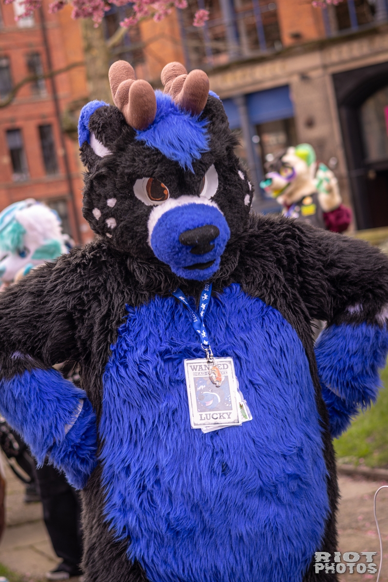 2026-02-14 MancFurs-202602-076.jpg