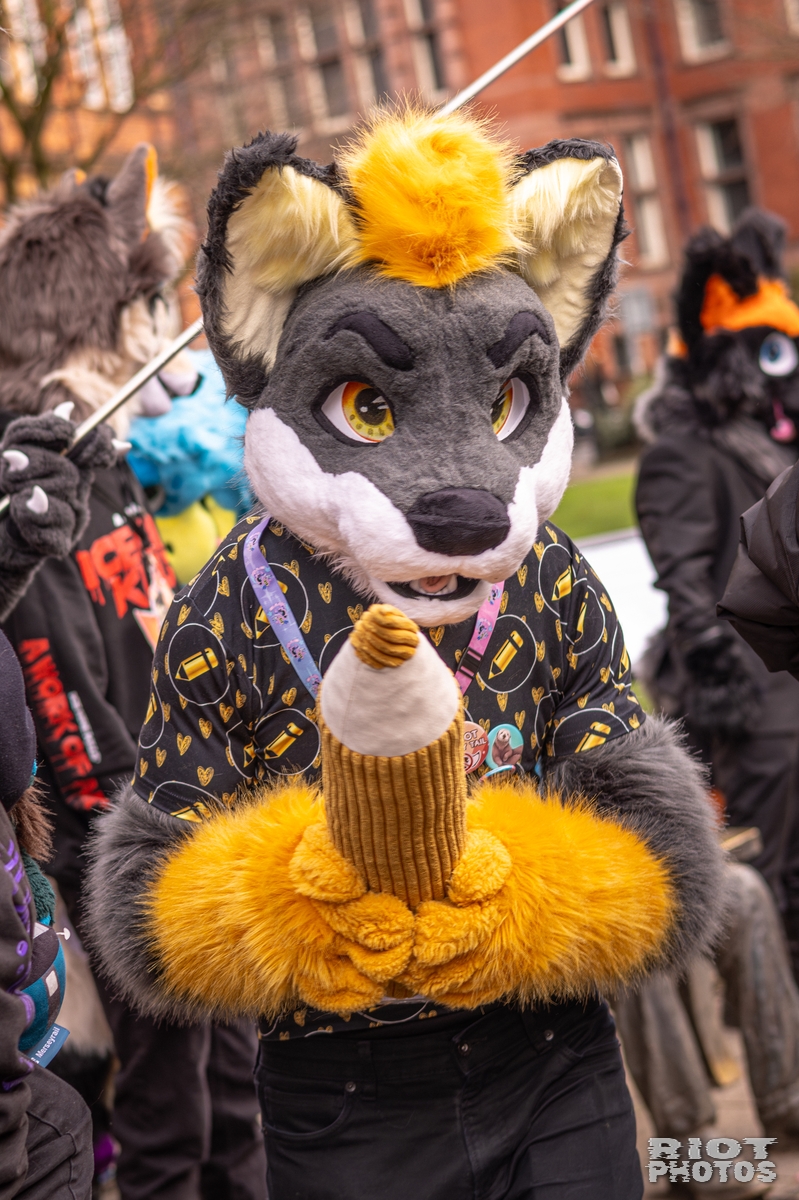 2026-02-14 MancFurs-202602-078.jpg
