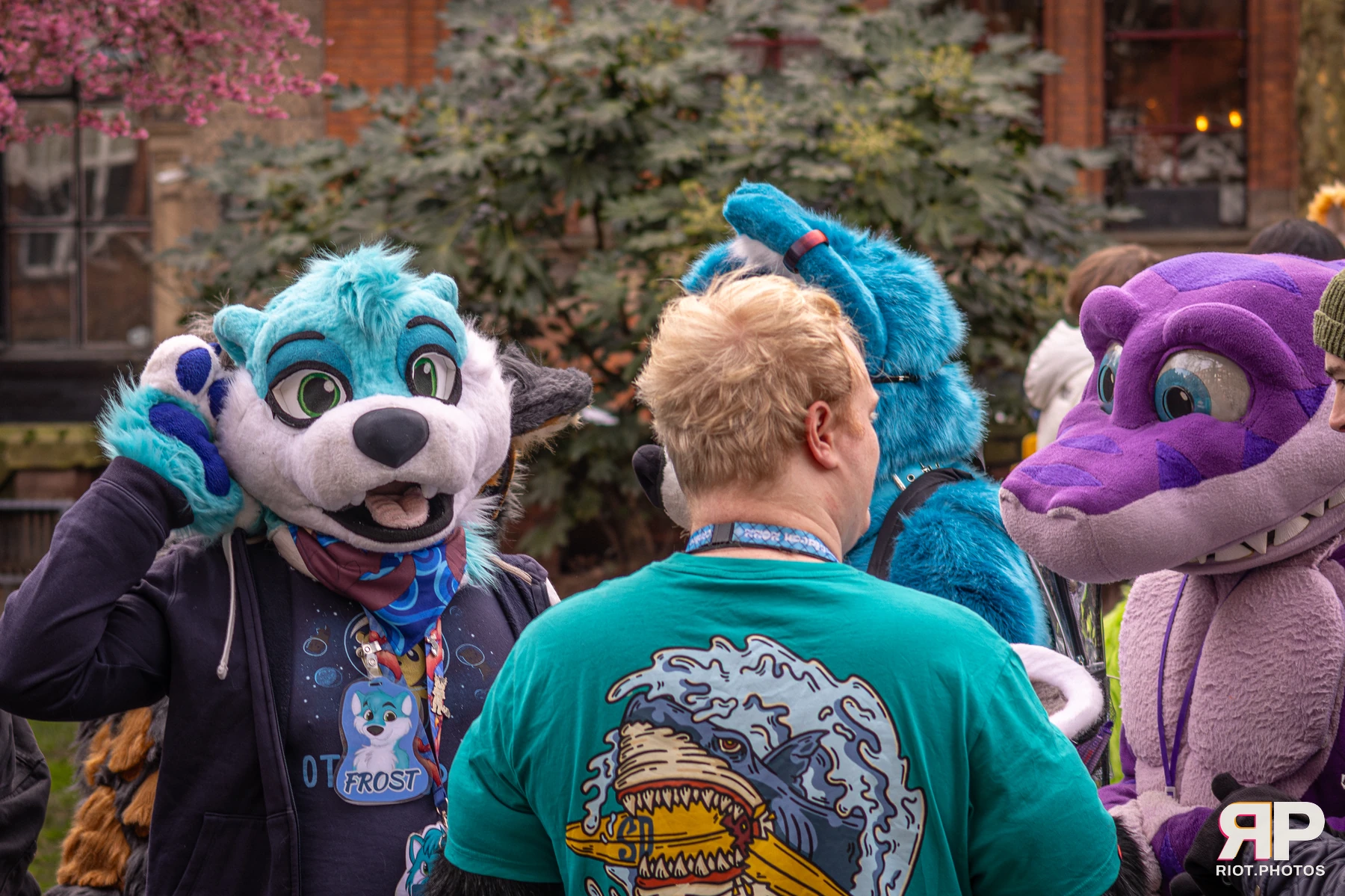 MancFurs - February, 2026 — 14 Feb 2026, Fluffy Riot photography — photo 79