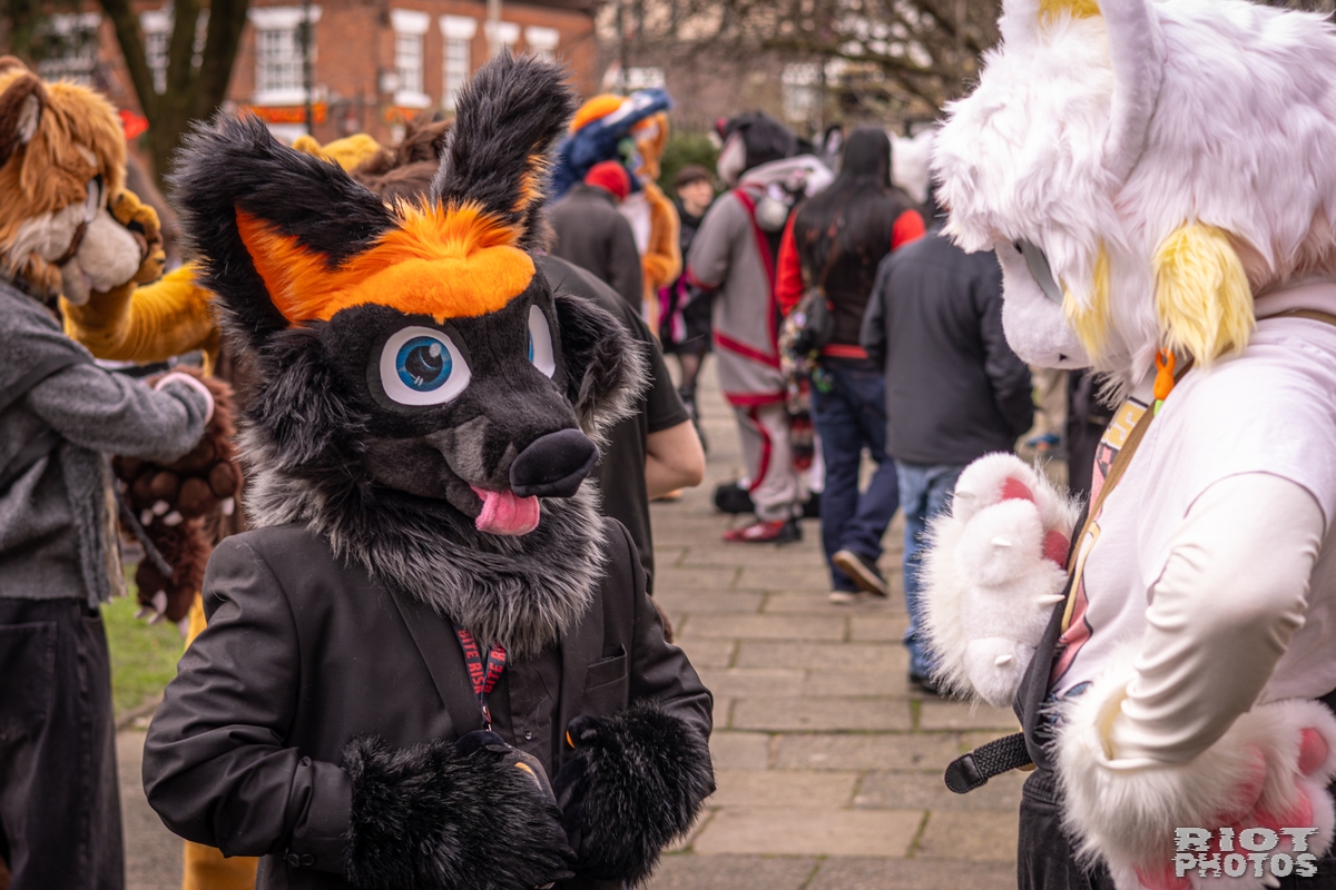 2026-02-14 MancFurs-202602-082.jpg