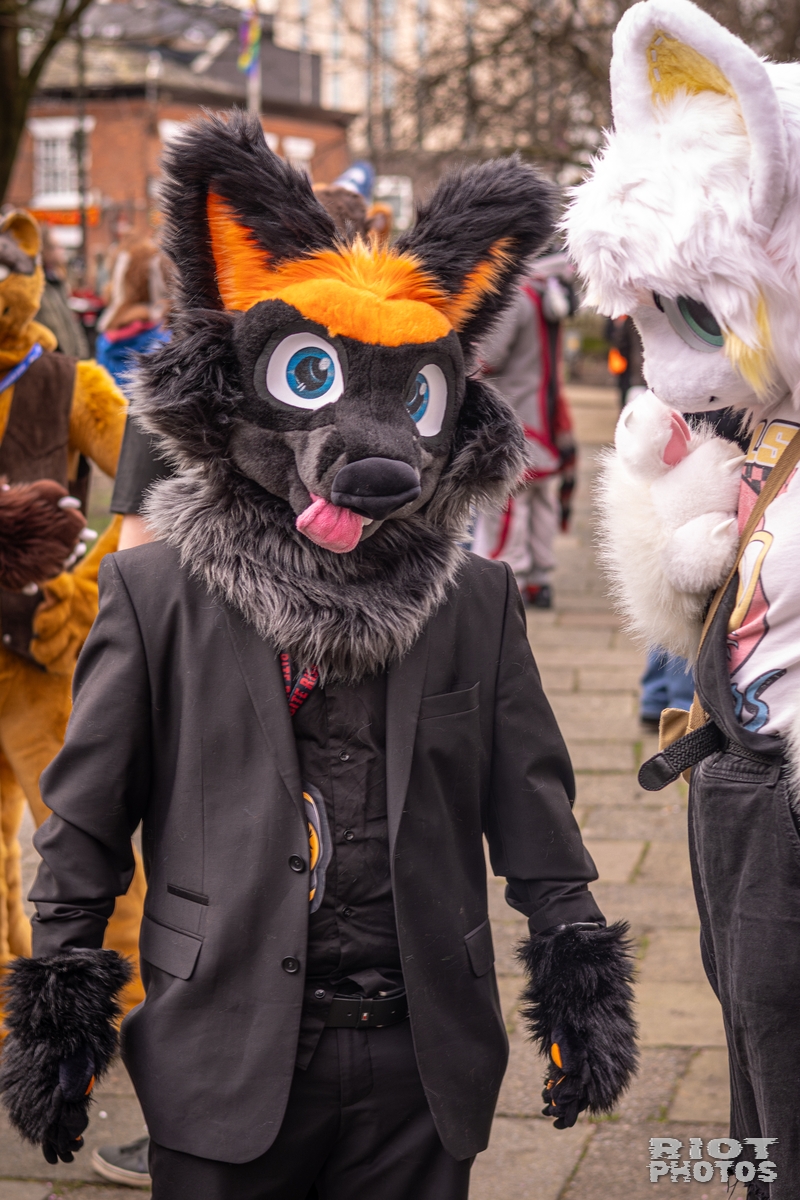 2026-02-14 MancFurs-202602-083.jpg