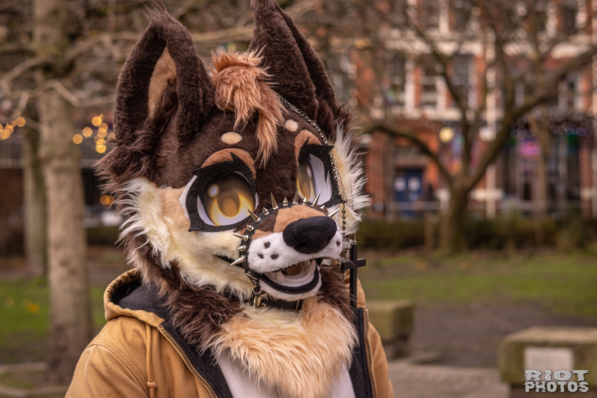 2026-02-14 MancFurs-202602-084.jpg