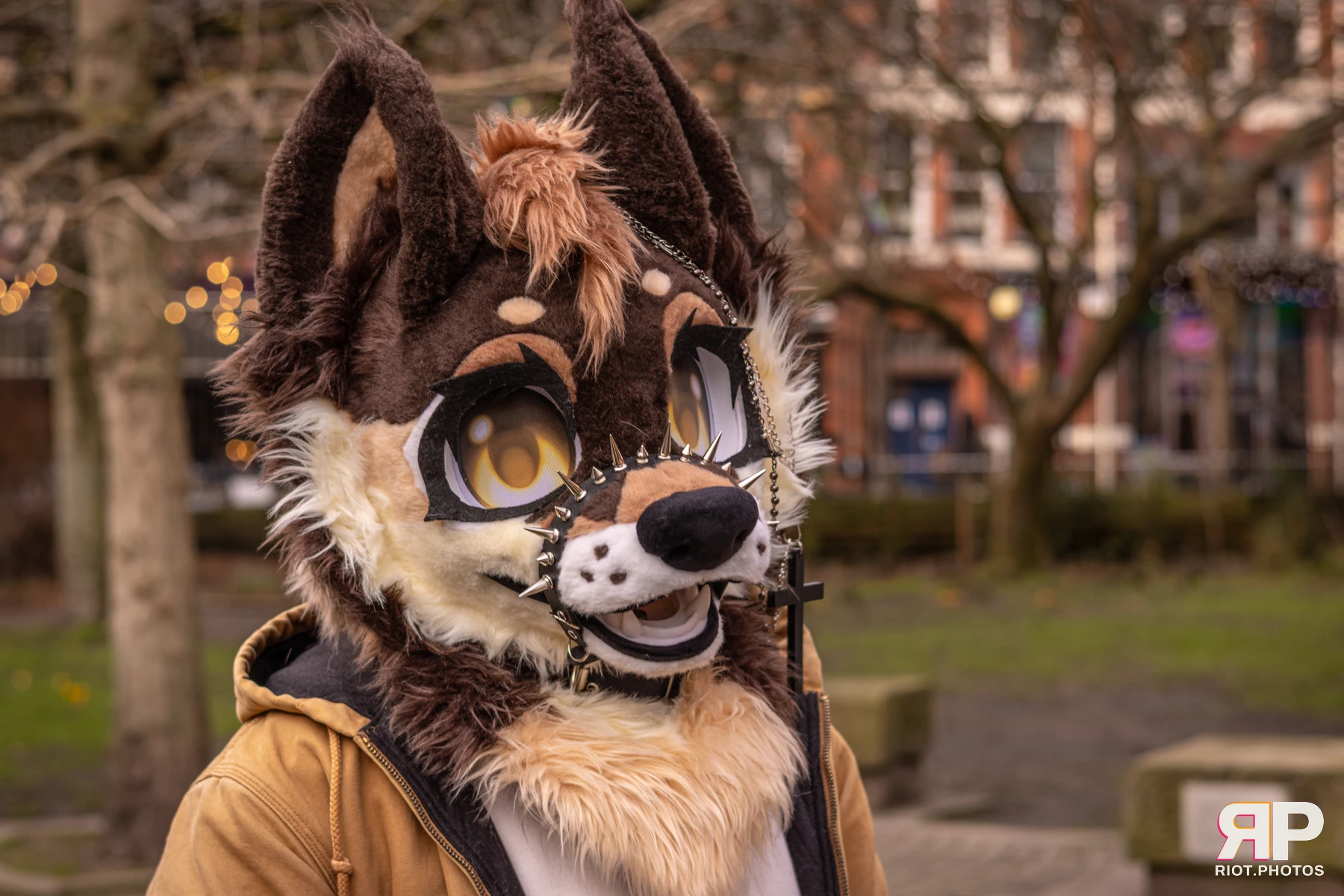 MancFurs - February, 2026 — 14 Feb 2026, Fluffy Riot photography — photo 84