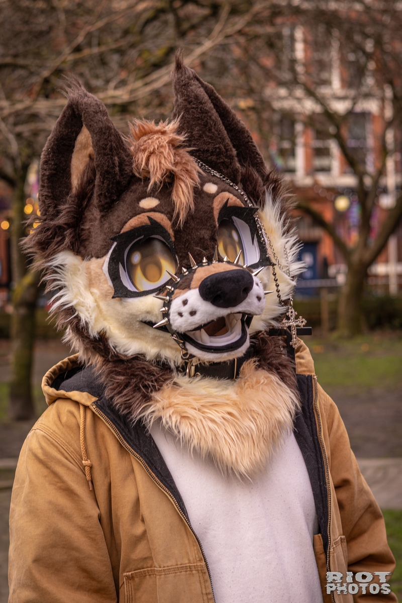 2026-02-14 MancFurs-202602-085.jpg
