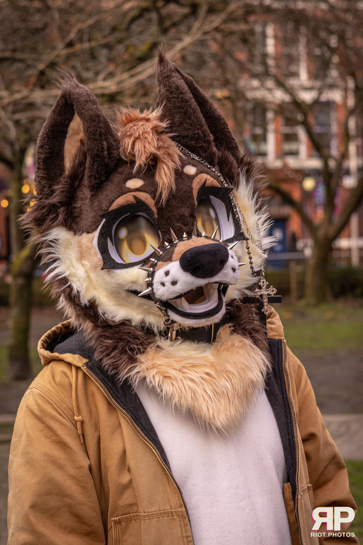 MancFurs - February, 2026 — 14 Feb 2026, Fluffy Riot photography — photo 85