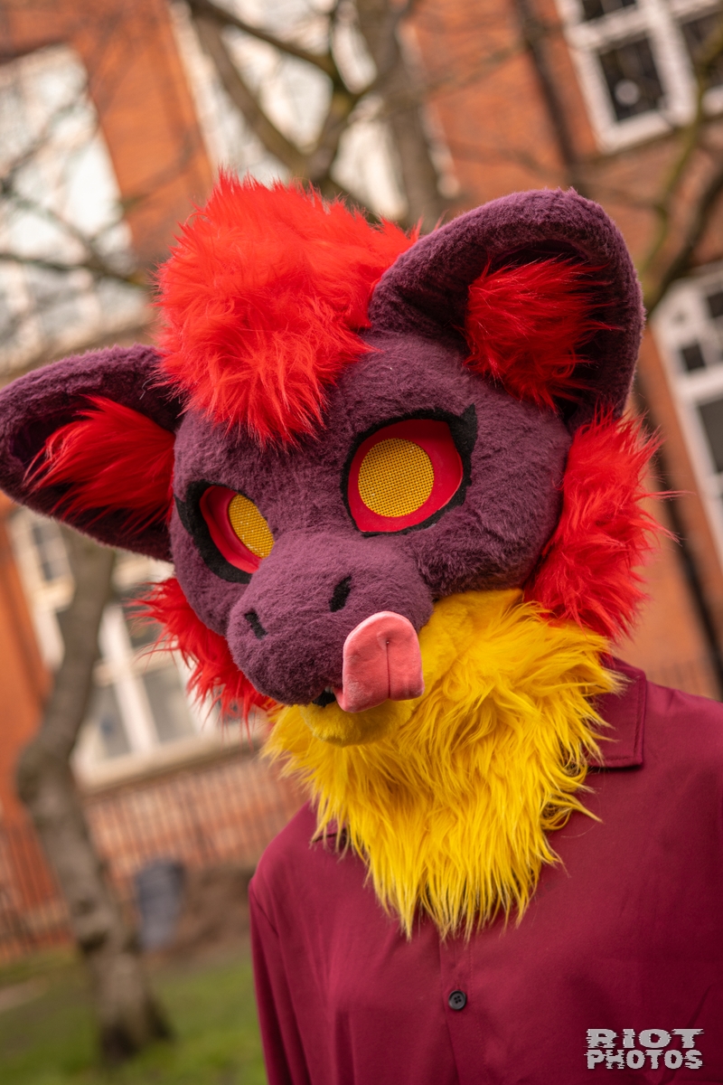 2026-02-14 MancFurs-202602-086.jpg