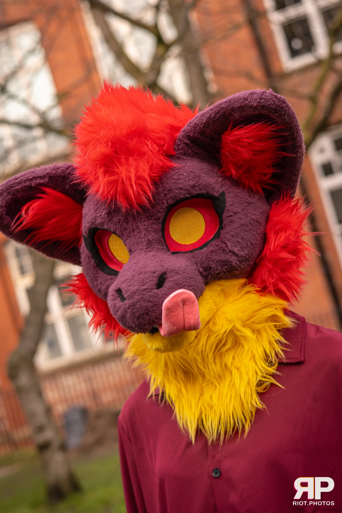MancFurs - February, 2026 — 14 Feb 2026, Fluffy Riot photography — photo 86