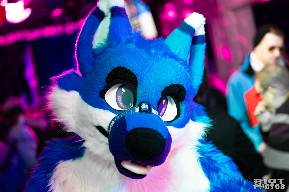 2026-02-14 MancFurs-202602-088.jpg