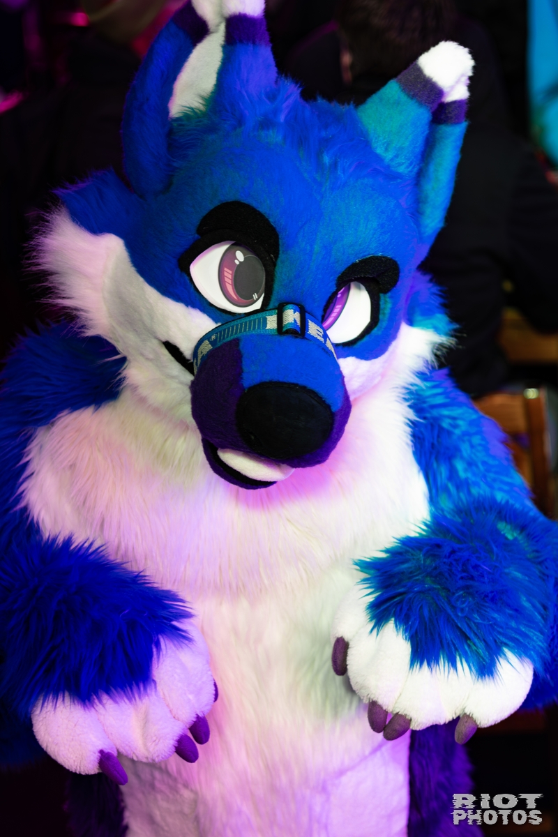 2026-02-14 MancFurs-202602-089.jpg