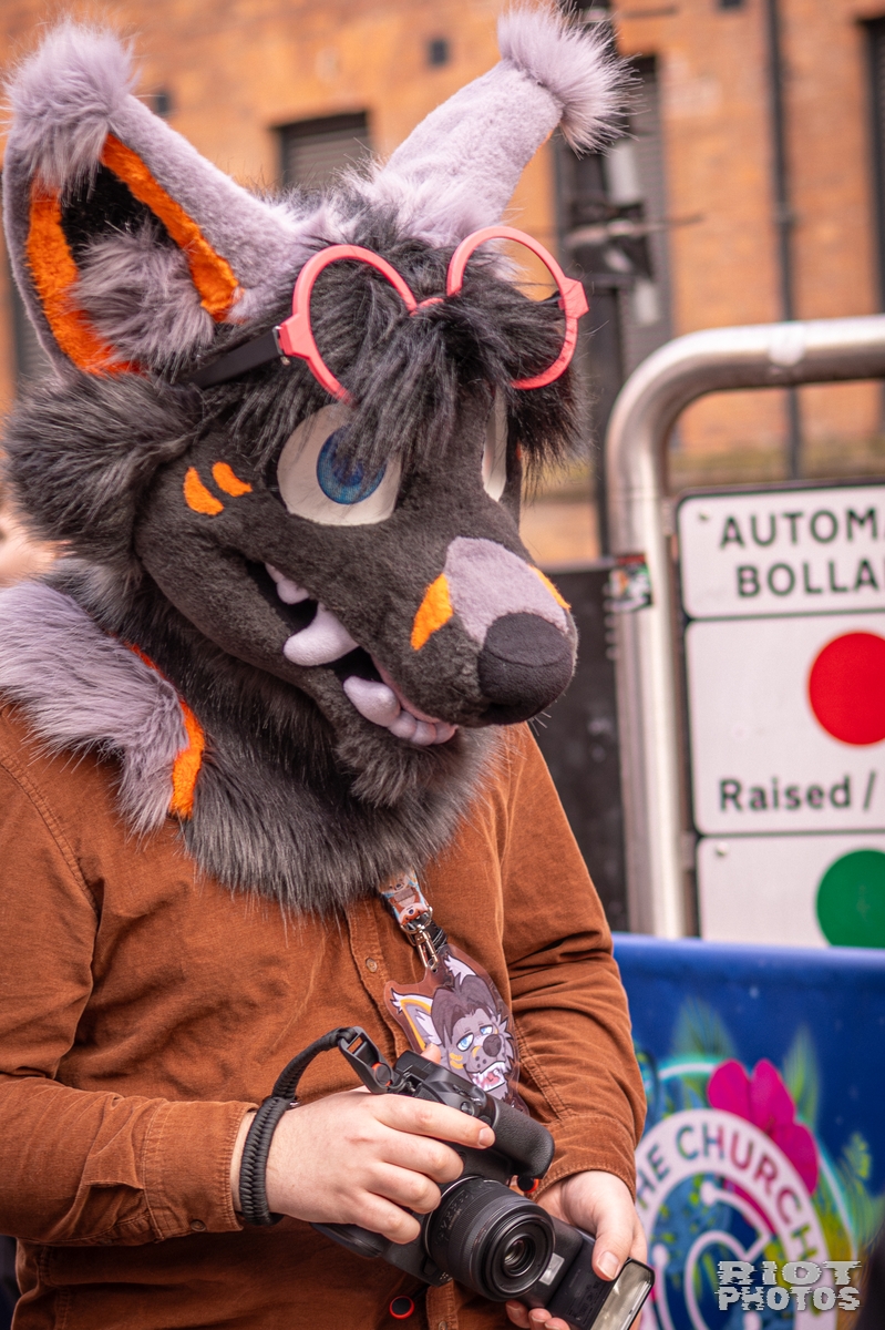 2026-02-14 MancFurs-202602-091.jpg