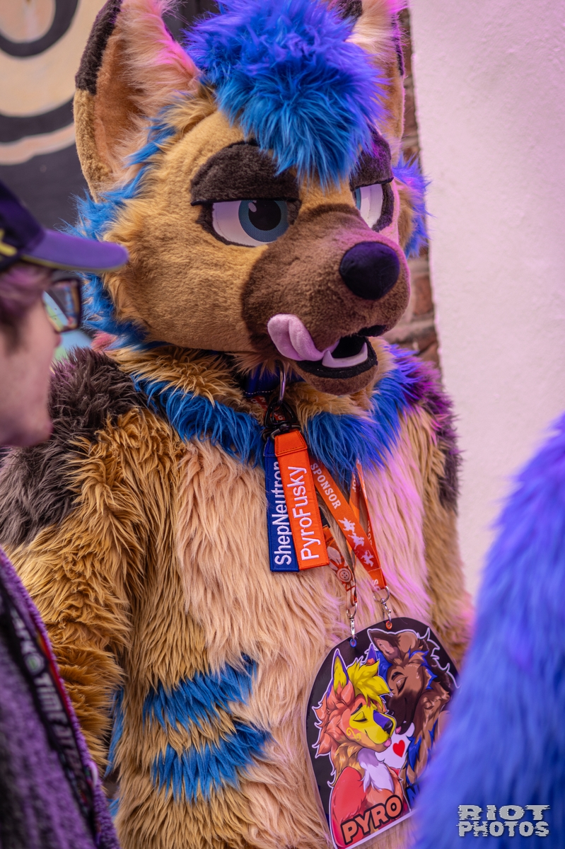 2026-02-14 MancFurs-202602-096.jpg