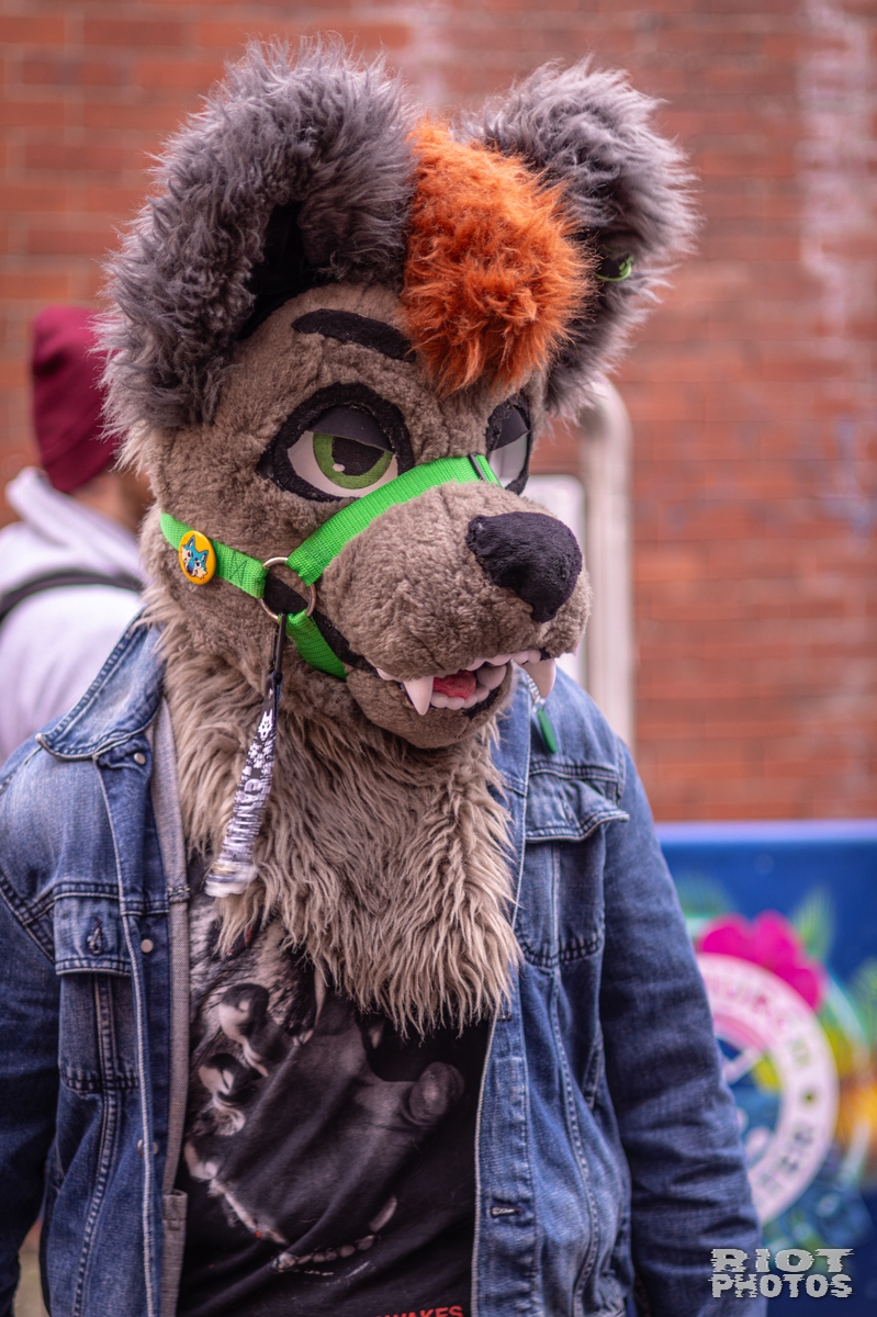 2026-02-14 MancFurs-202602-097.jpg