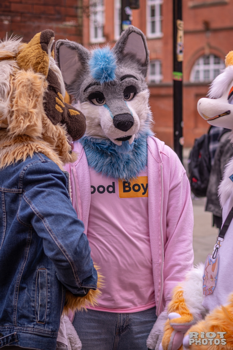 2026-02-14 MancFurs-202602-098.jpg