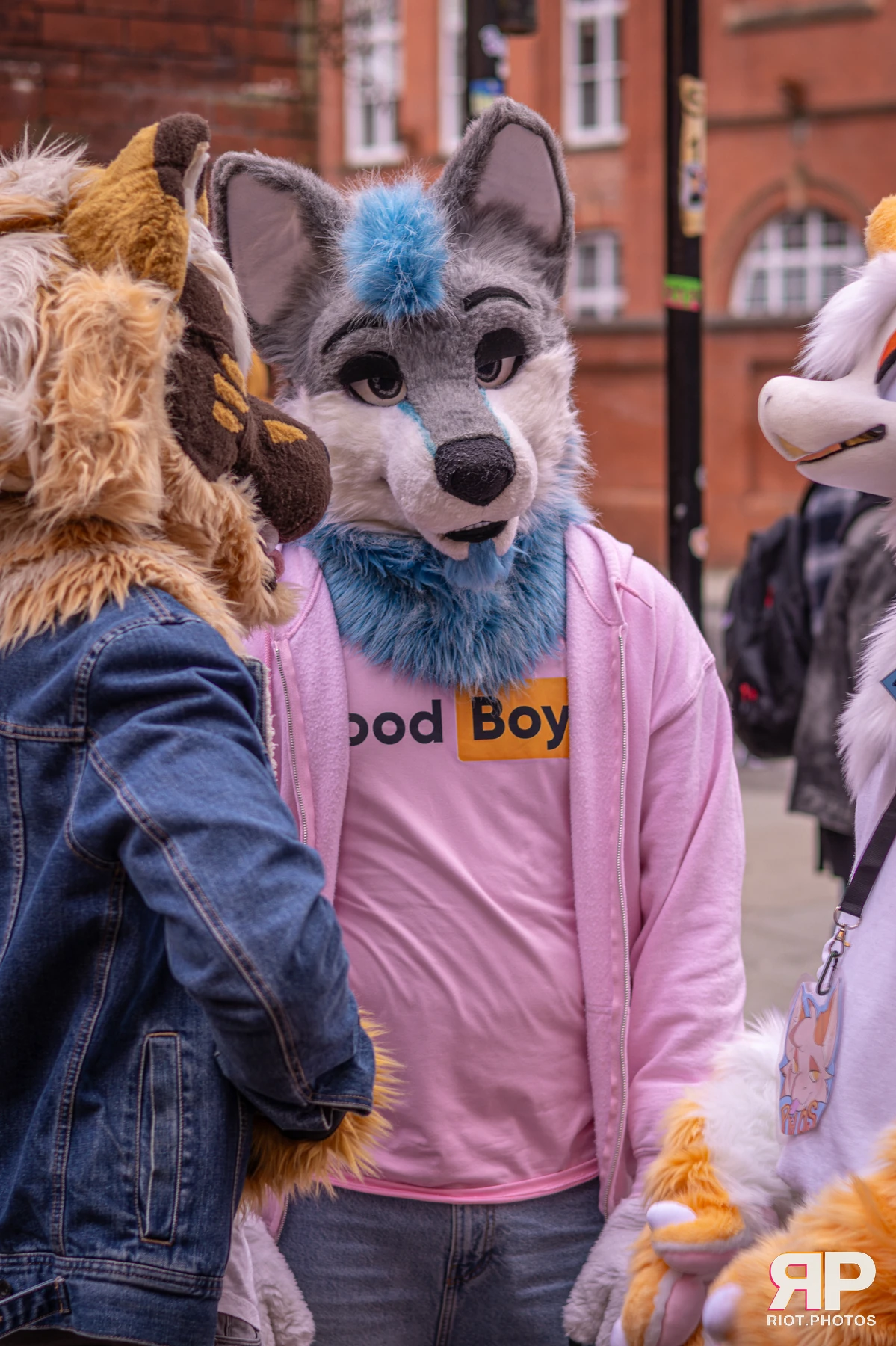 MancFurs - February, 2026 — 14 Feb 2026, Fluffy Riot photography — photo 98