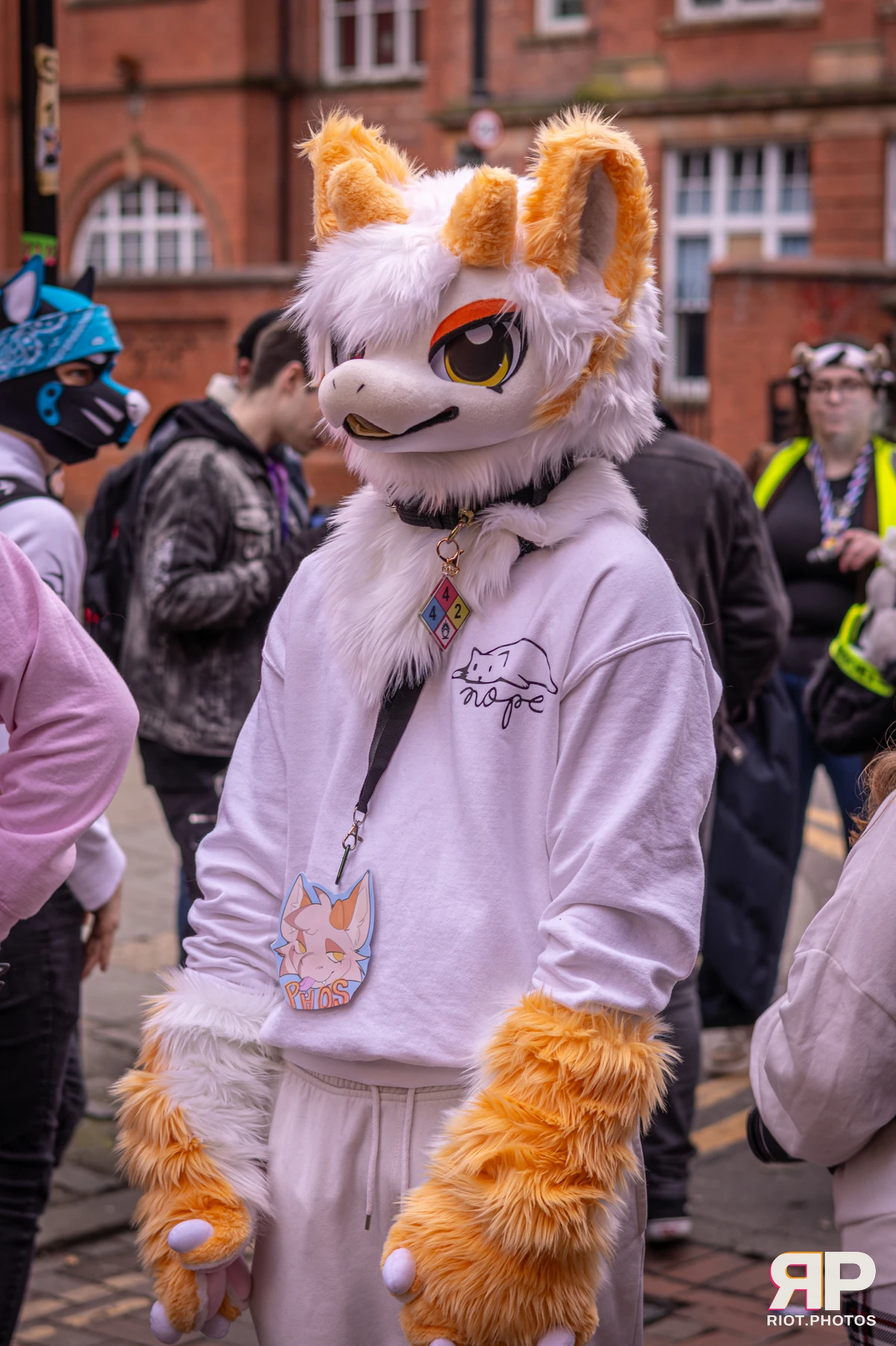 MancFurs - February, 2026 — 14 Feb 2026, Fluffy Riot photography — photo 99