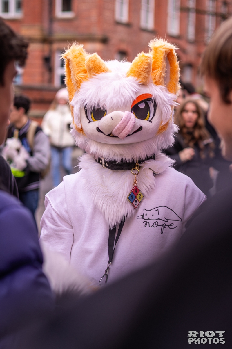 2026-02-14 MancFurs-202602-101.jpg