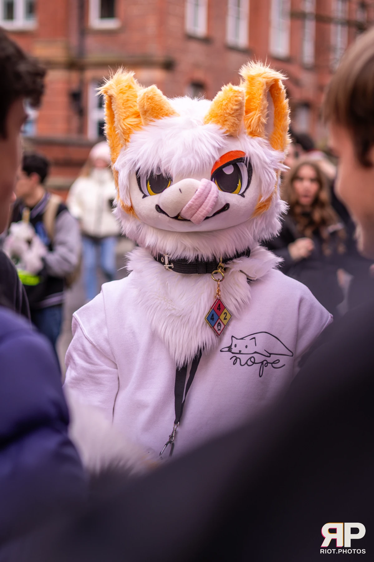 MancFurs - February, 2026 — 14 Feb 2026, Fluffy Riot photography — photo 101