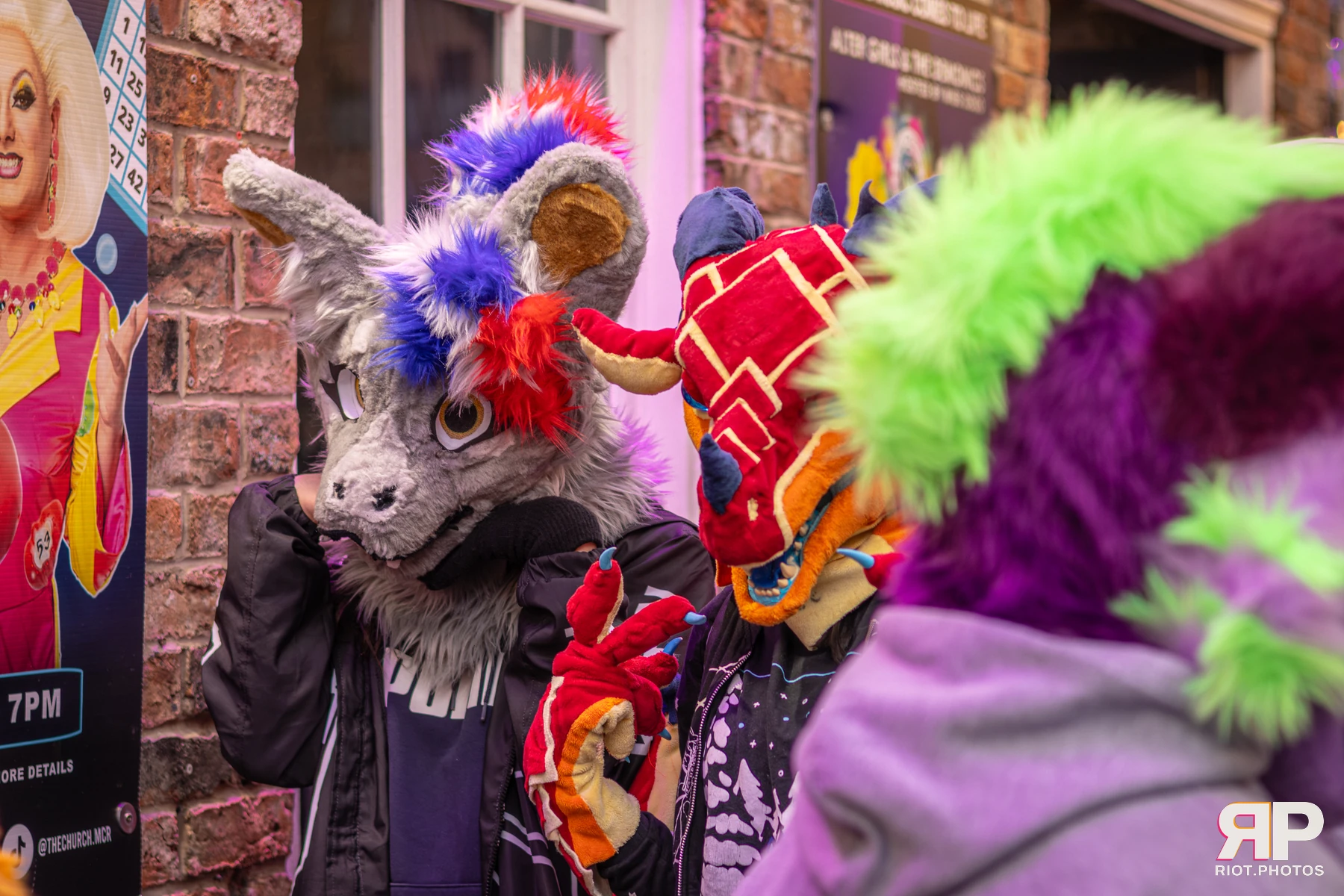 MancFurs - February, 2026 — 14 Feb 2026, Fluffy Riot photography — photo 102