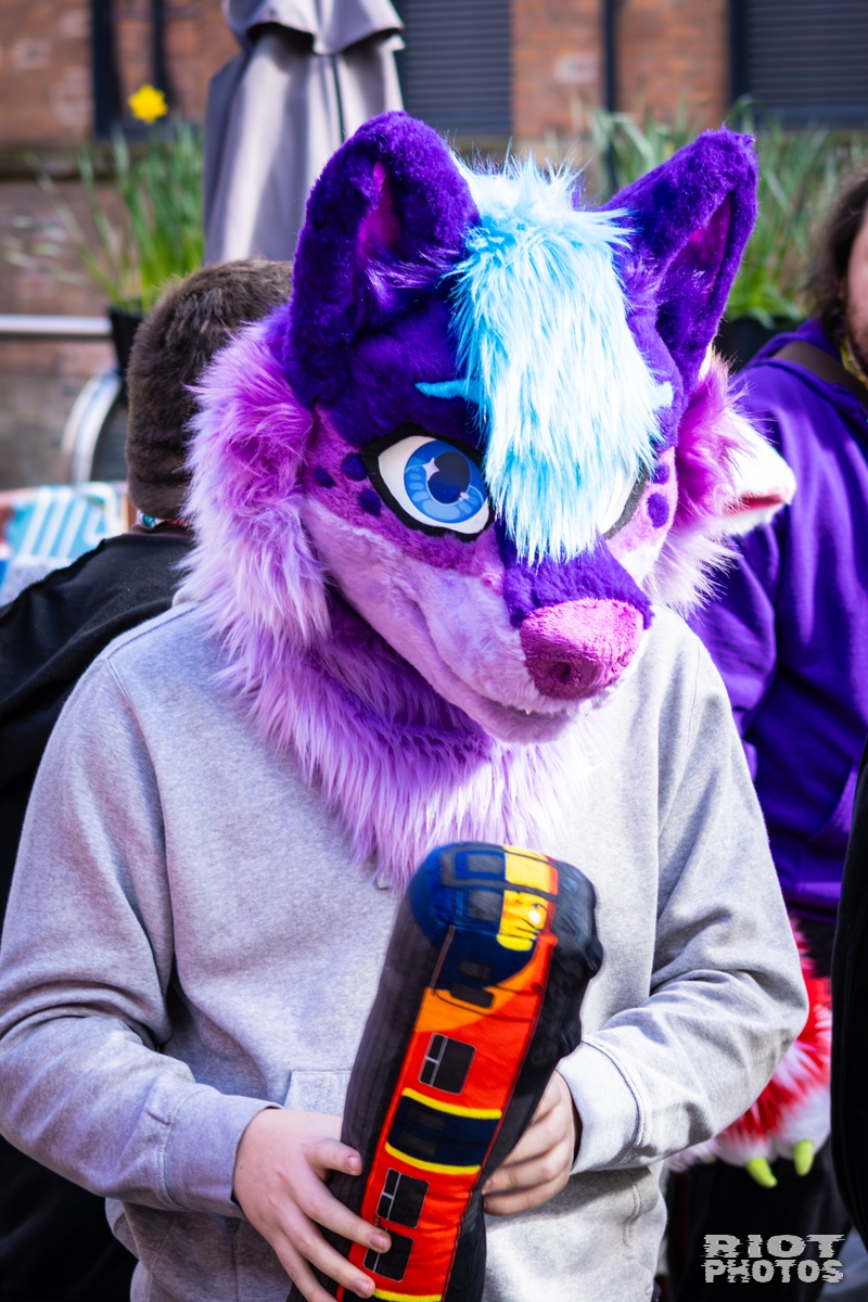 2026-03-14 MancFurs-202603-003.jpg