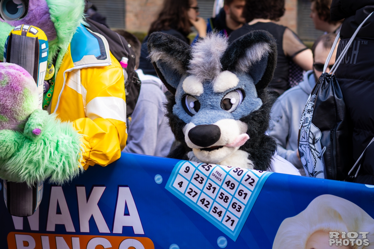 2026-03-14 MancFurs-202603-007.jpg