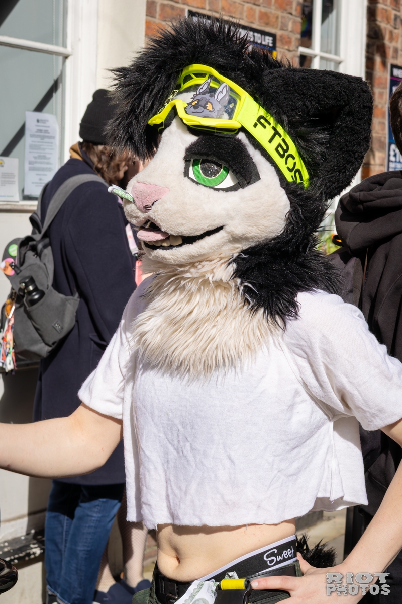 2026-03-14 MancFurs-202603-010.jpg