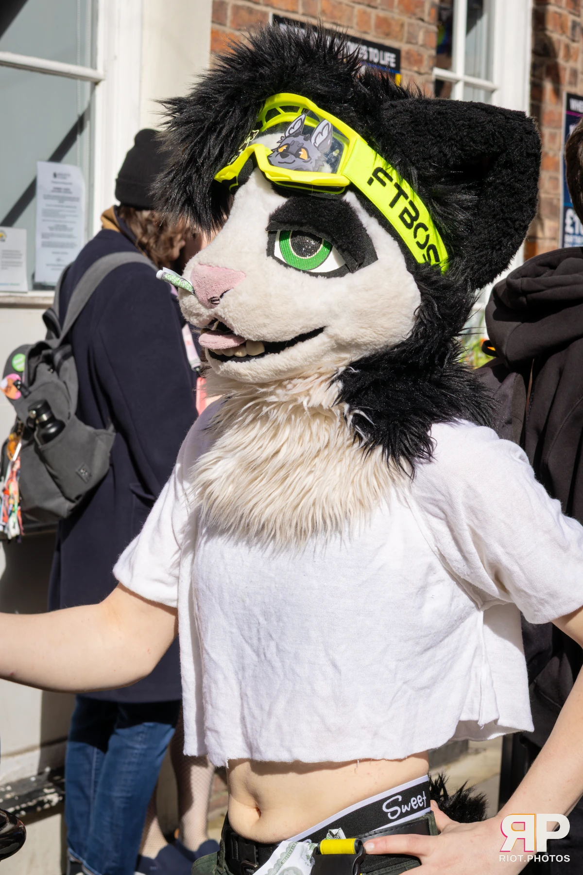 MancFurs - March, 2026 — 14 Mar 2026, Fluffy Riot photography — photo 10