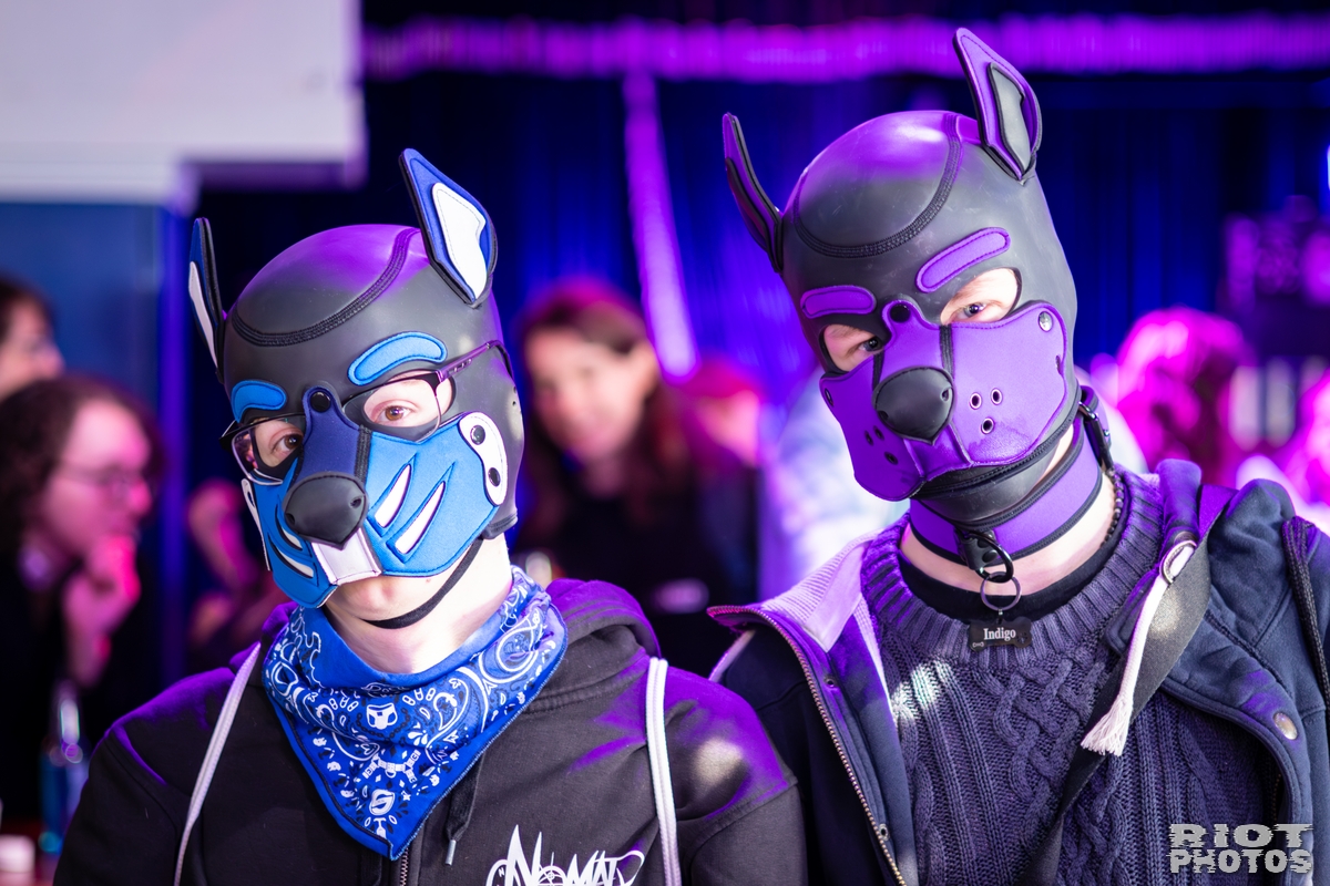 2026-03-14 MancFurs-202603-011.jpg