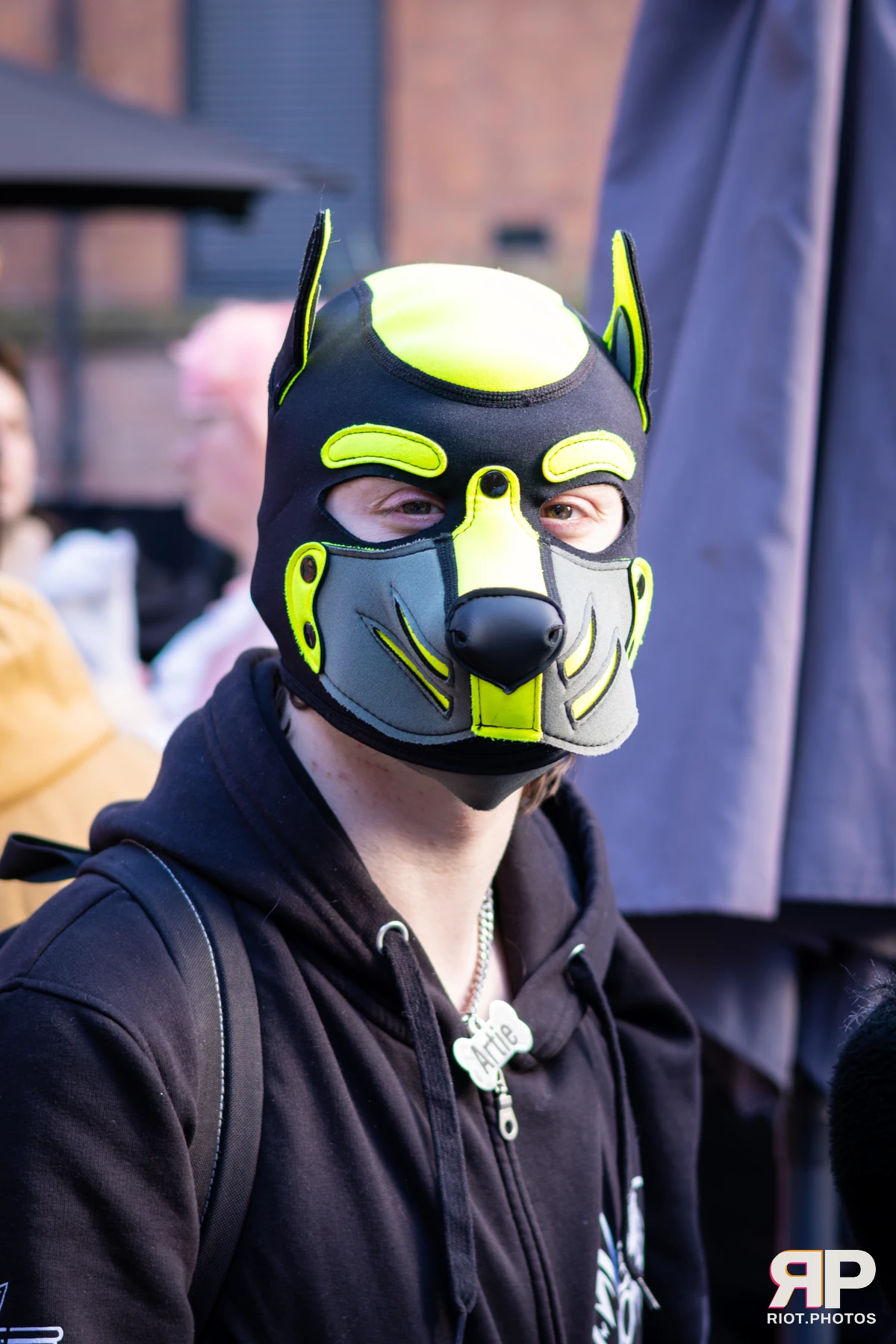 Artie — furry & pup photography by Fluffy Riot — photo 3