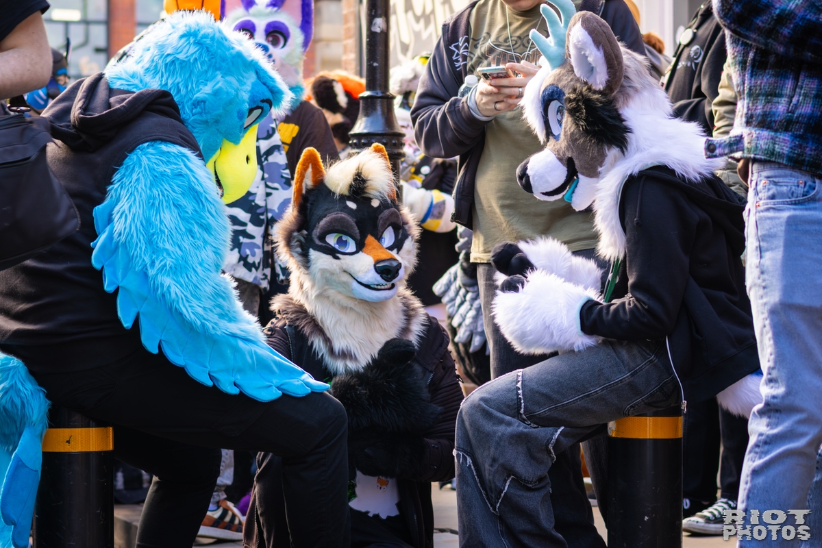 2026-03-14 MancFurs-202603-016.jpg