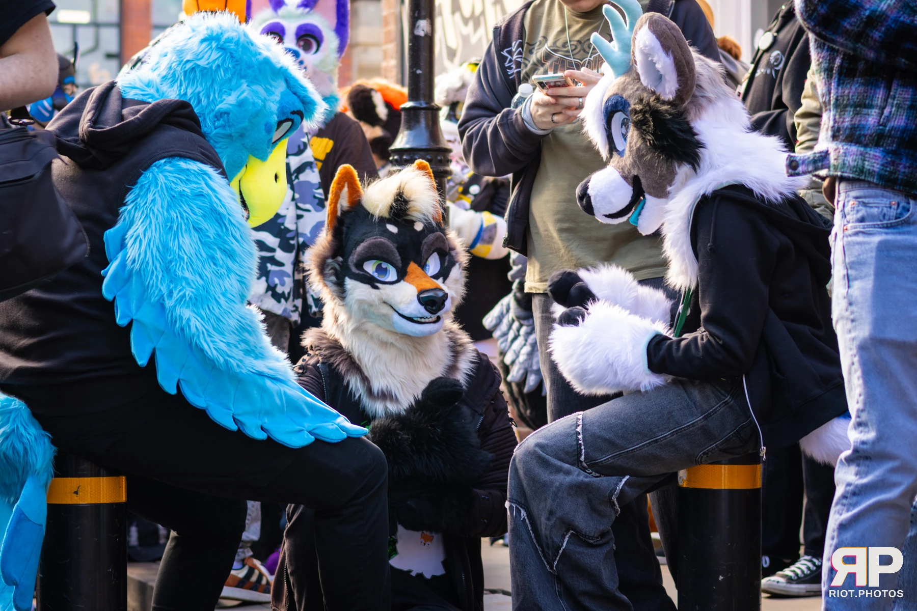 MancFurs - March, 2026 — 14 Mar 2026, Fluffy Riot photography — photo 16