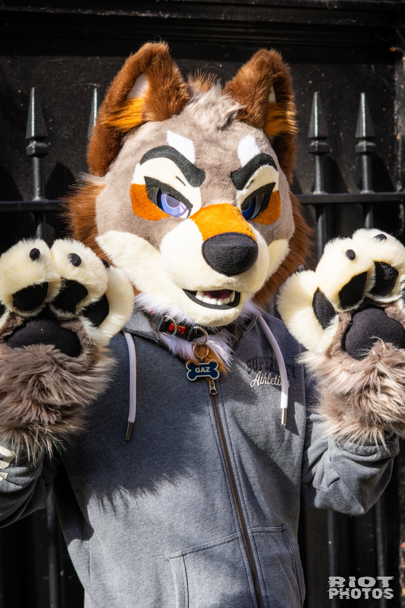 2026-03-14 MancFurs-202603-017.jpg